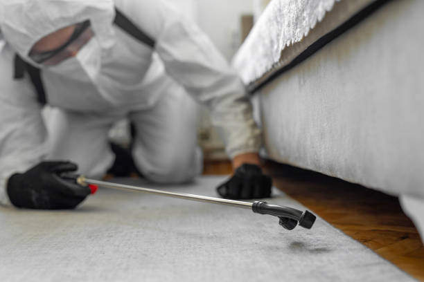 Professional Bed Bug Control technician working in North Sarasota, FL