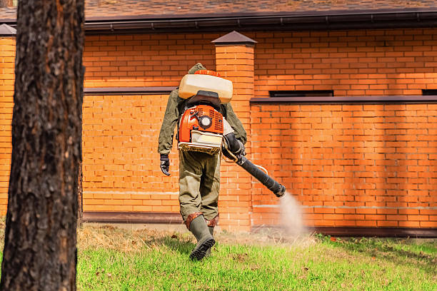 Trusted Termite Control service in North Sarasota, FL - Nex Pest Control